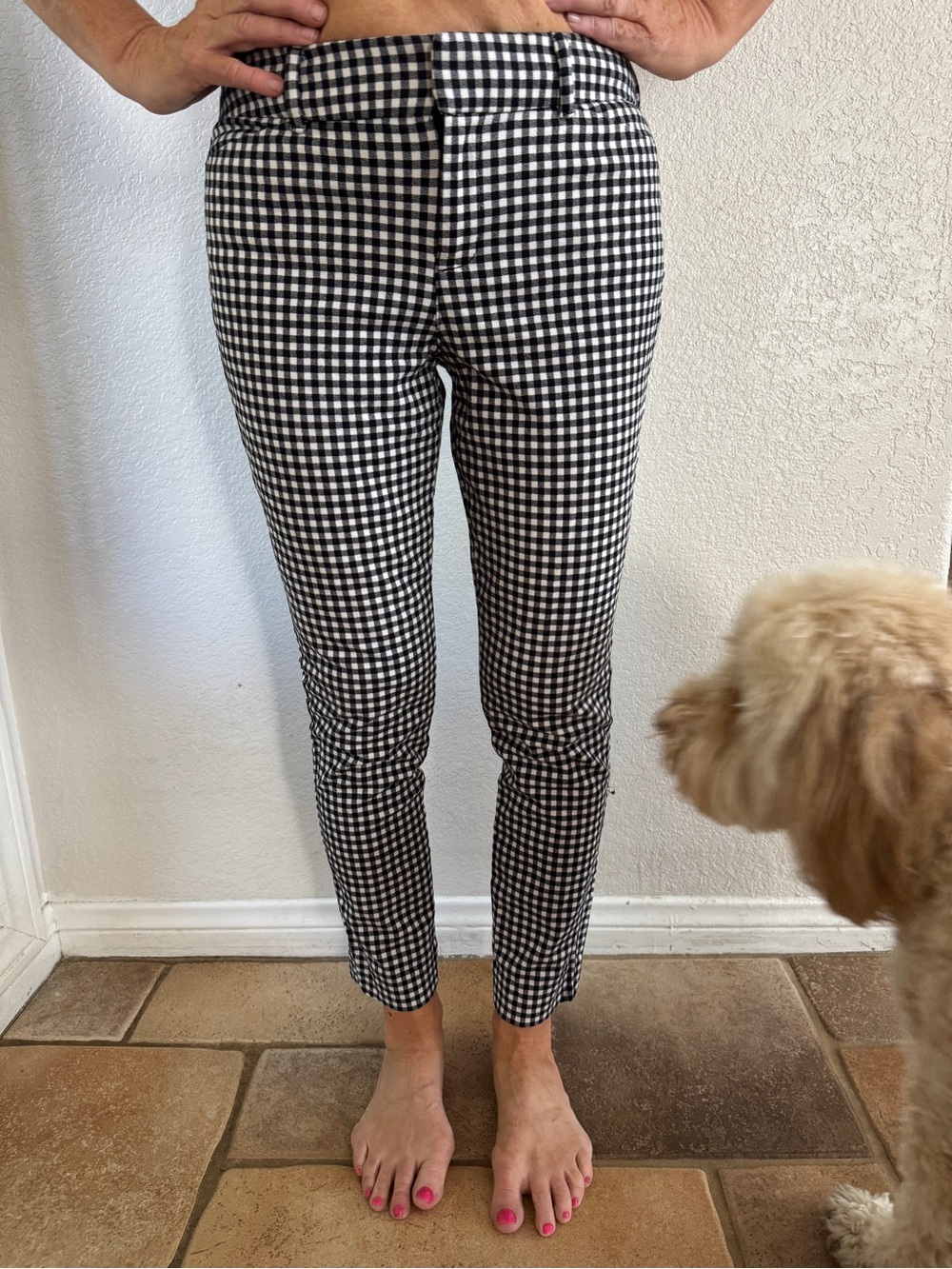 Old Navy Black & White Gingham “pixie” Pants